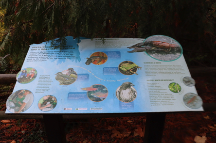 Interpretive signage on sustaining clean water and a healthy ecosystem Interpretive signage on sustaining clean water and a healthy ecosystem
